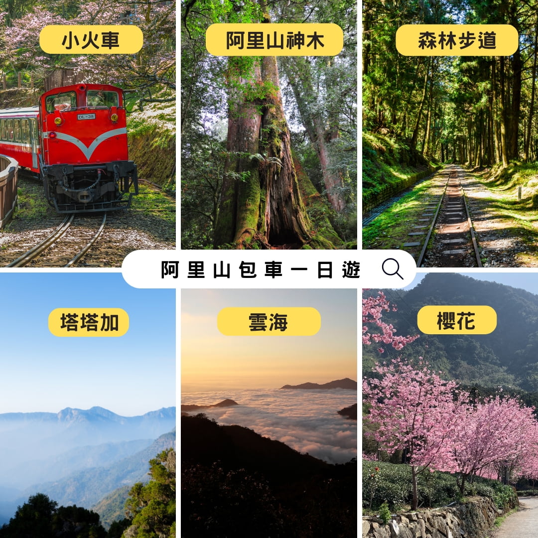 阿里山包車一日遊景點